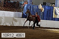 10r12_4861 proof