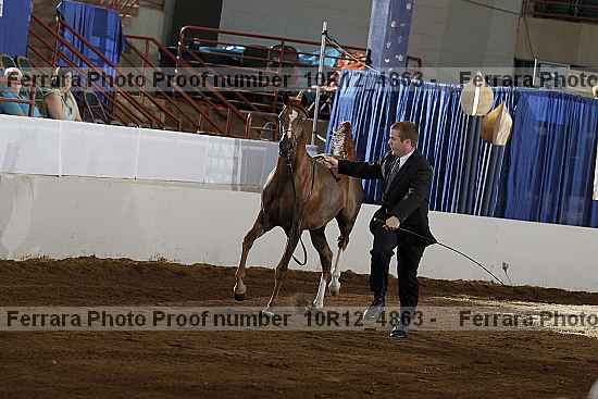 Proof 10r12_4863