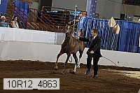 10r12_4863 proof
