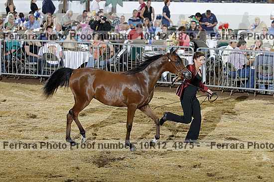 Proof 10r12_4875