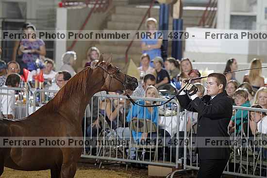 Proof 10r12_4879