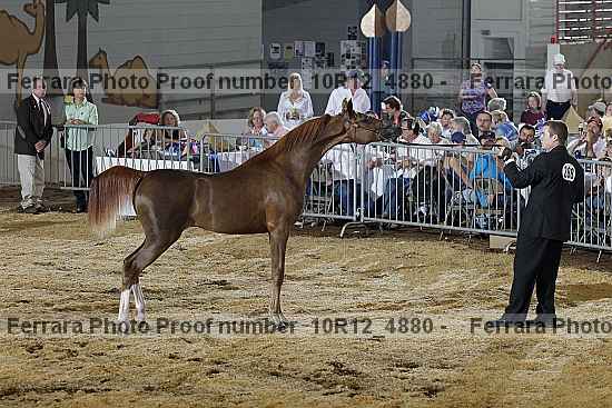 Proof 10r12_4880