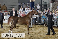 10r12_4881 proof