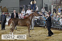 10r12_4882 proof