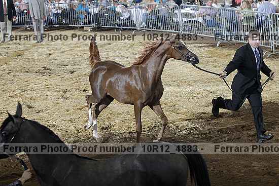 Proof 10r12_4883