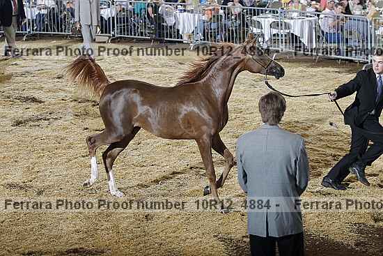 Proof 10r12_4884