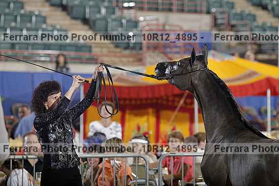 Proof 10r12_4895
