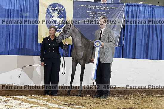 Proof 10r12_4902