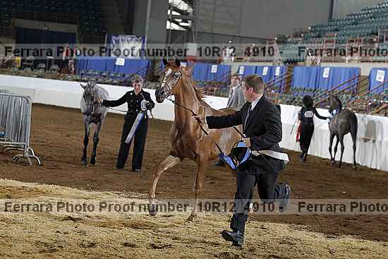 Proof 10r12_4910