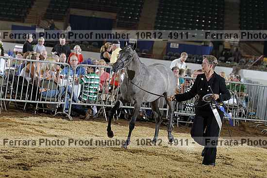 Proof 10r12_4911