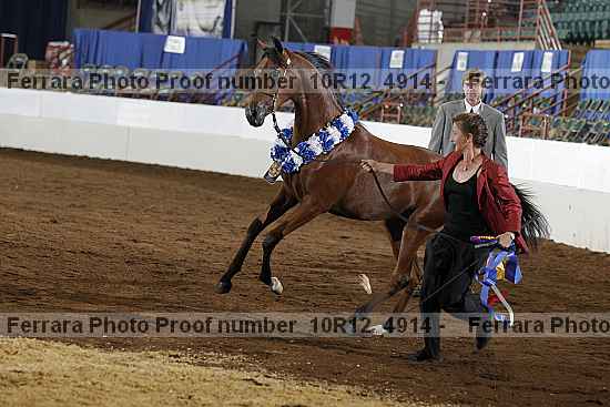 Proof 10r12_4914