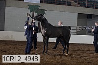 10r12_4948 proof