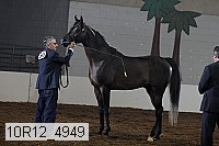 10r12_4949 proof