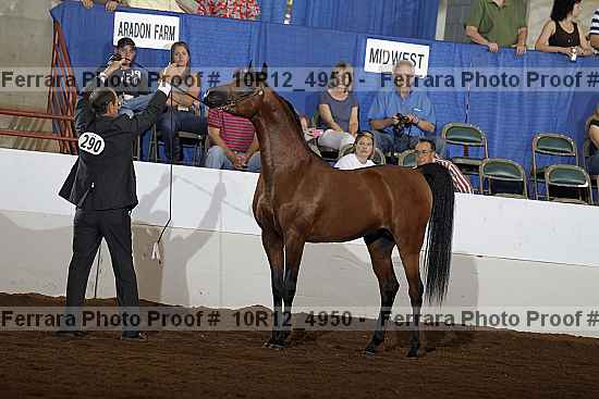 Proof 10r12_4950