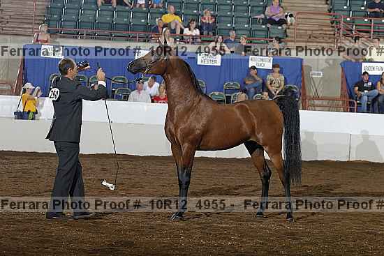Proof 10r12_4955