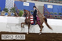 10r12_5100 proof