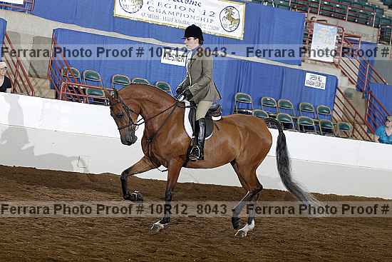 Proof 10r12_8043