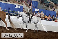 10r12_8045 proof
