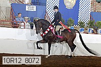 10r12_8072 proof