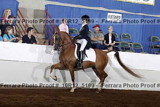 Proof 10r12_5199