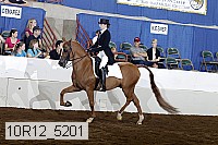 10r12_5201 proof