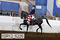10r12_5225 proof