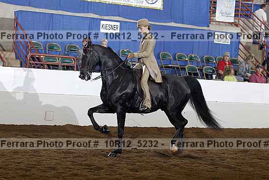 Proof 10r12_5232
