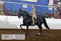 10r12_5232 proof