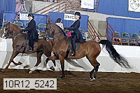 10r12_5242 proof