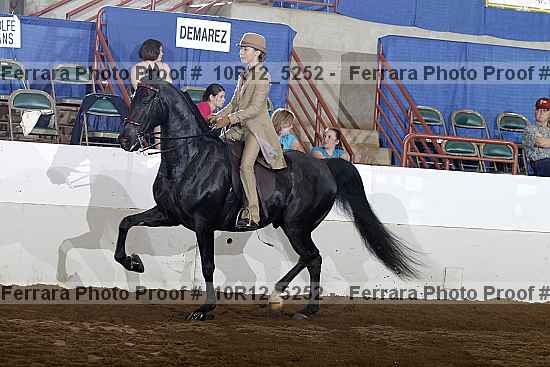 Proof 10r12_5252