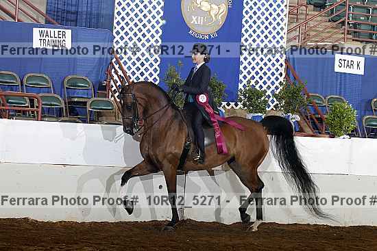 Proof 10r12_5271