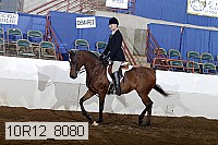 10r12_8080 proof