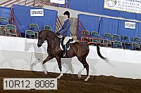 10r12_8085 proof