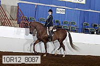 10r12_8087 proof