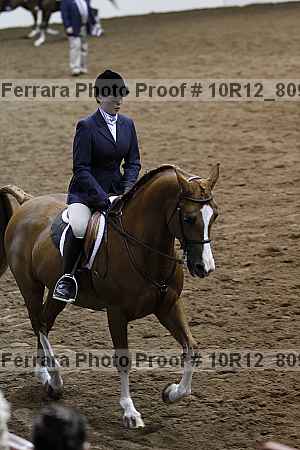 Proof 10r12_8099