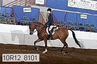 10r12_8101 proof