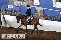 10r12_8103 proof