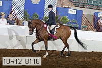 10r12_8118 proof