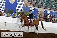 10r12_8123 proof