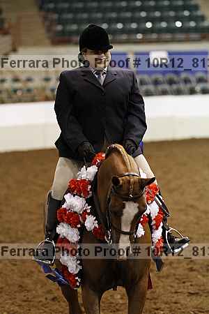 Proof 10r12_8131