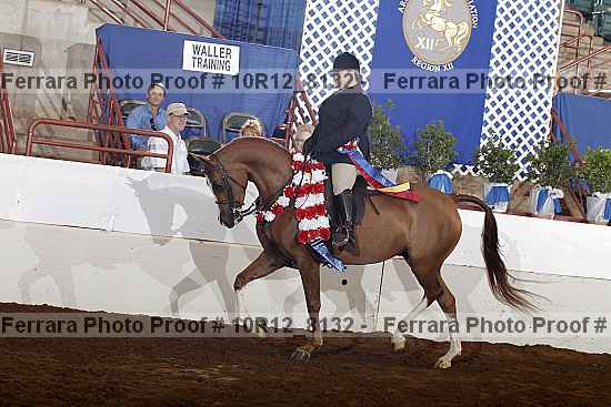 Proof 10r12_8132
