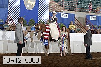 10r12_5308 proof