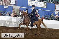 10r12_6977 proof
