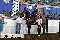 10r12_7001 proof