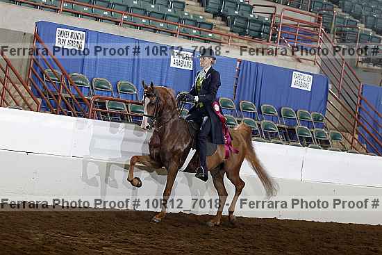 Proof 10r12_7018