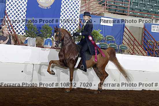 Proof 10r12_7020