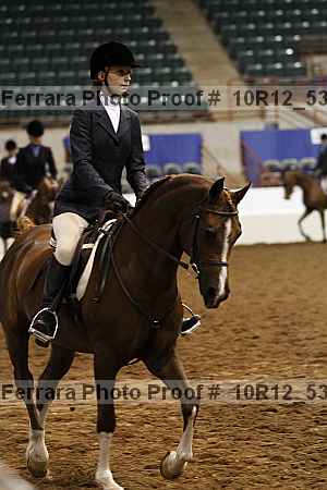 Proof 10r12_5334