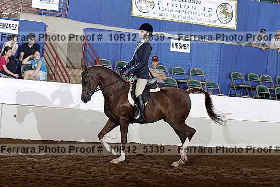 Proof 10r12_5339