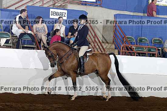 Proof 10r12_5365