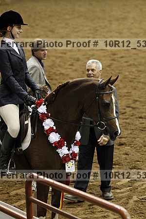 Proof 10r12_5372